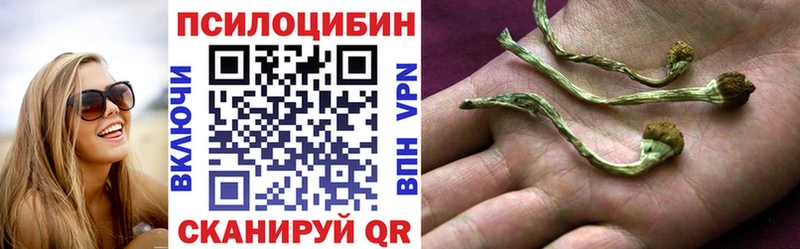 Псилоцибиновые грибы Magic Shrooms  Моздок 